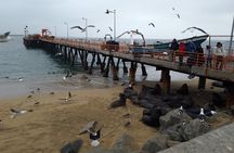 Tour to the markets of Valparaiso