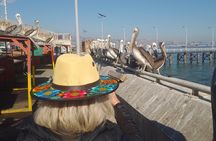 Tour to the markets of Valparaiso