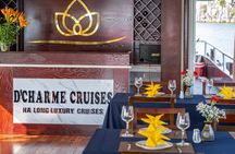 Lan Ha Bay Cruise Day Tour : Kayaking, Swimming, Hiking & Lunch