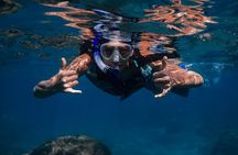 Golden Hour Glow Snorkel: Snorkel With Sea Turtles