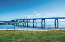 Phillip Island Wildlife Cruise and Penguin Tour from Melbourne