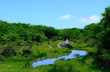 Jeju WEST&SOUTH One Day Tour with MT.halla & Aewol
