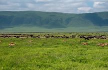 Private Day Journey Through The Heart Of Ngorongoro Crater