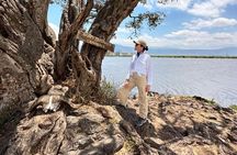 Private Day Journey Through The Heart Of Ngorongoro Crater