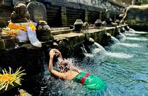 Ubud Tegalalang Private Car Tour