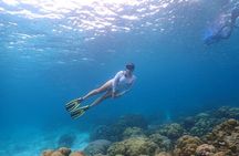 Liveaboard Snorkeling Similan 2 Days 1 Night from Khao Lak 