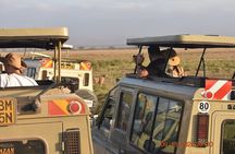 5 Days 4 Nights Masai Mara & Nakuru Private Safari Peak Season