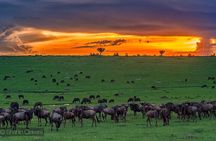 5 Days 4 Nights Masai Mara & Nakuru Private Safari Peak Season