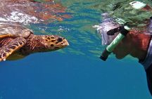 Hamata Island snorkeling Sea Trip with Lunch from Marsa Alam