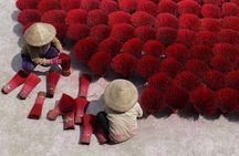 Three Traditional Villages Private Day Tour from Hanoi