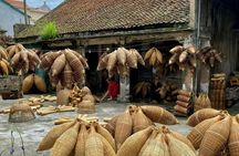 Three Traditional Villages Private Day Tour from Hanoi