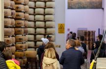 Parmesan Cheese Factory Near Modena Tasting And Tour