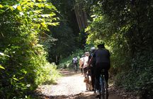 Rau Forest Bike tour