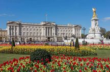 Changing of the Guard at Buckingham Palace Experience