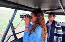 Amboseli Day Trip with Pickup