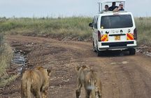 Amboseli Day Trip with Pickup