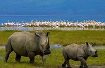 Lake Nakuru National Park Day Trip From Nairobi