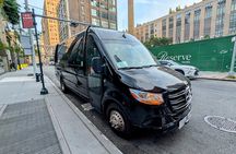 NYC Holiday Lights Tour