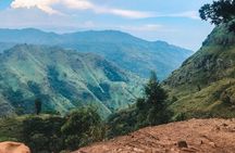 Ella Day Tour with Train Ride from Colombo or Negombo