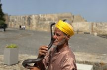Exclusive Tangier Tour from Gibraltar with Camel Ride and Lunch