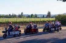 3 Hour Electric Trike Sunset Tour at Sonoma