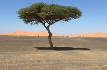 Merzouga 4X4 -Day Trip With Private Local Guide 