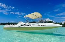 Crazy sea horse Bora Bora jet boating snorkeling and barbecue. 