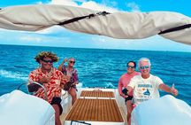 Crazy sea horse Bora Bora jet boating snorkeling and barbecue. 