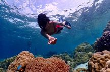 Khao Lak to Similan Islands Lazy Snorkeling by Speedboat