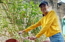 Ultimate Valencia Bike Private Tour