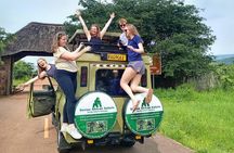 1 Day Akagera National Park Big Cats Safari