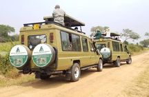 1 Day Akagera National Park Big Cats Safari