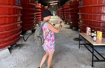 Unique South Phu Quoc Island Private Adventure Tour