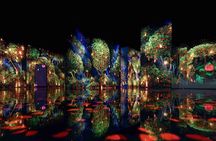 Tickets for Arte Museum Dubai 