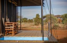 4-Day Lake Naivasha & Amboseli- Luxury Grp Joining Safari