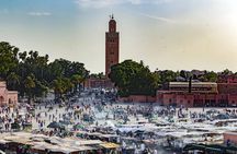 Marrakech Day Trip: Camel Ride, Medina & Palaces from Casablanca