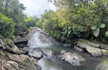El Yunque & Beach Tour: Waterslide, Waterfall, Food, & Photos 