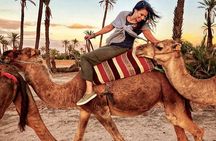 Marrakech Day Trip: Camel Ride, Medina & Palaces from Casablanca