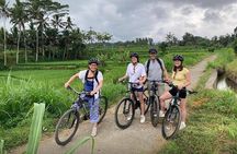 Kintamani to Ubud Downhill Bike Tour with Lunch