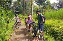 Kintamani to Ubud Downhill Bike Tour with Lunch