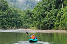 Full Rainforest Experience: Kayaks, Waterfall and Embera village 