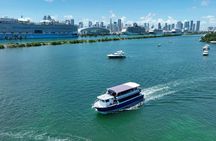 Miami Skyline Cruise Biscayne Bay Views & City Lights