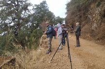 Birding Hike: Day Birdwatching in Kathmandu