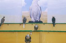 Doha: Combo Traditional Souqs Tour - Souq Waqif & Souq Al Wakra 