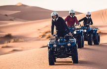 Camel & Quad Combo In Douz Sahara Desert