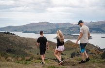 Christchurch Highlights Tour (Full Day Private)