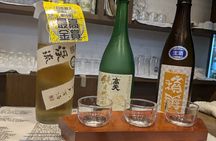 Tokyo Bar/Izakaya Hopping Tour (by Government-Licensed Guide)