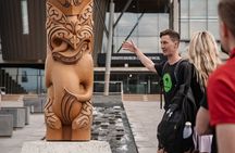 Explore Christchurch (2hr Guided Private Walk)