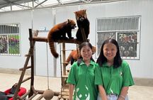 Unique One-Day Tour: Interactive Experience with Red Pandas