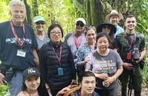 Guided Walk through the Monteverde Cloud Forest – Flora & Fauna